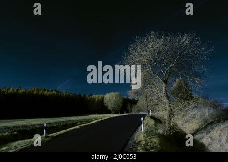 Infrarot-Landschaft mit 720 nm, strahlend weißer Vegetation, surrealen Wäldern und sanften Hügeln in Falschfarbenfotografie, traumhafte Naturszene Stockfoto