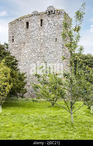 Drumin Castle, ein zerstörtes Turmhaus in der Nähe von Glenlivet, Moray, Schottland, Großbritannien. Stockfoto