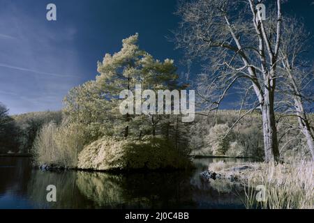 Infrarot-Landschaft mit 720 nm, strahlend weißer Vegetation, surrealen Wäldern und sanften Hügeln in Falschfarbenfotografie, traumhafte Naturszene Stockfoto