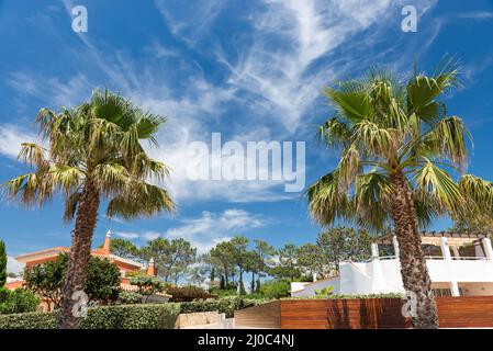 Häuser und Gebäude in Wolf Valley (Vale do Lobo), Algarve Stockfoto