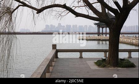 Suzhou, China. 23.. Februar 2022. Ein Baum, der entlang des Jinji-Seeufers mit dem „Time Square“-Viertel im Hintergrund gesehen wird. Suzhou ist eine Stadt, die 100 km von Shanghai entfernt liegt. Die Stadt befindet sich seit Ende Februar in Quarantäne, nachdem neue Fälle von Covid 19 entdeckt wurden. (Foto von Thibaud Mougin/SOPA Images/Sipa USA) Quelle: SIPA USA/Alamy Live News Stockfoto