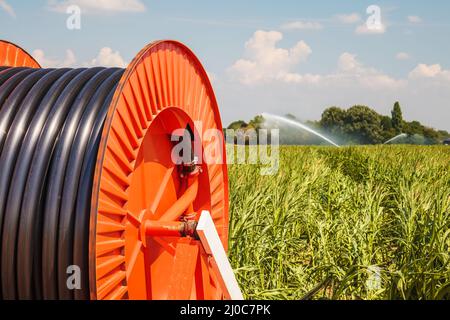 Bewässerungsregner auf Ackerland während der schweren Dürre in den Niederlanden Stockfoto