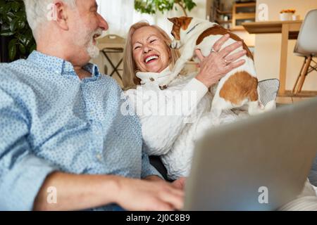 Glückliche Paare von Senioren, die mit einem kleinen Hund unterwegs sind, haben zu Hause Spaß am Laptop Stockfoto