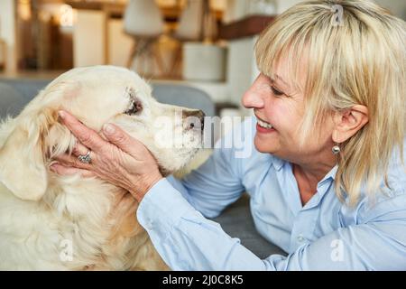 Glückliche ältere Frau streichelte ihren Retriever Hund zu Hause für Freundschaft und Tierliebe Stockfoto