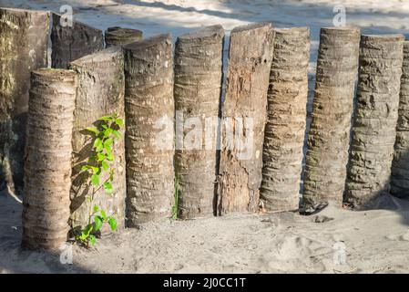 Palmenstamm Holzzaun am Strand Stockfoto