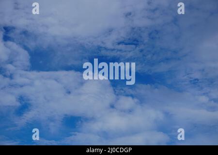 Ein riesiges Reisfeld mit Blick auf die Hügel des blauen Himmels Stockfoto