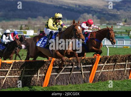 State man, der von Paul Townend auf dem Weg zum Gewinn der Handicap-Hürde von McCoy Contractors County am vierten Tag des Cheltenham Festivals auf der Cheltenham Racecourse gefahren wurde. Bilddatum: Freitag, 18. März 2022. Stockfoto