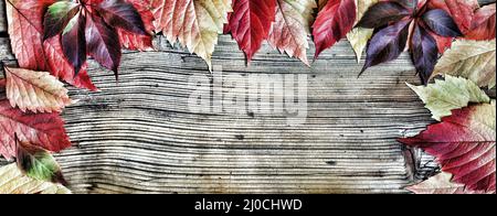 Konzept: Danksagung. Rahmen der Herbst helle Blätter und dekorative Kürbisse. Freier Platz für Text. T Stockfoto