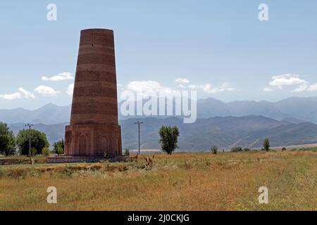 Burana Tower, Tokmak, Kirgisistan Stockfoto