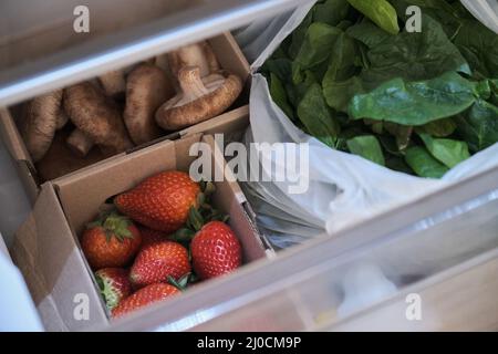 Frisches Gemüse in der Schublade des geöffneten Kühlschranks. Stockfoto