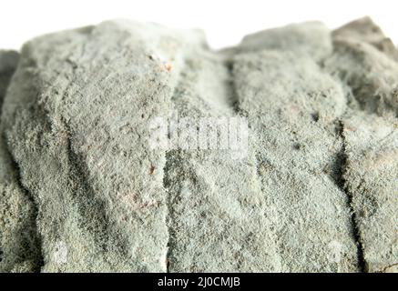 Schimmeliger Brotlaib, Nahaufnahme. Brotscheiben, die mit sehr fuzzigen grünen, blauen oder grauen Schimmelpilzsporen oder Schimmelpilz bedeckt sind. Konzept für verwöhntes Essen oder f Stockfoto