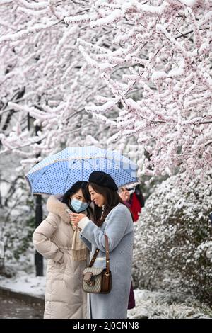 Peking, China. 18. März 2022. Die Menschen genießen den Blick auf den Schnee in einem Park in Peking, der Hauptstadt Chinas, 18. März 2022. Quelle: Chen Yehua/Xinhua/Alamy Live News Stockfoto