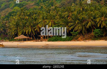 Wunderschöne Landschaft des Arabischen Meeres mit Kokospalmen im Stadtteil Sindhudurg Stockfoto