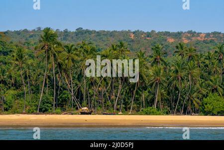 Wunderschöne Landschaft des Indischen Ozeans mit Kokospalmen & Fischerbooten im Bezirk Sindhudurg Stockfoto