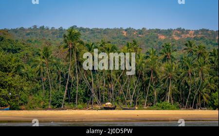 Wunderschöne Landschaft des Indischen Ozeans mit Kokospalmen & Fischerbooten im Bezirk Sindhudurg Stockfoto