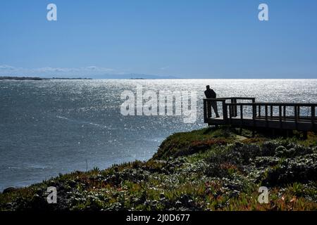 ViewPoint, Pigeon Point California Stockfoto