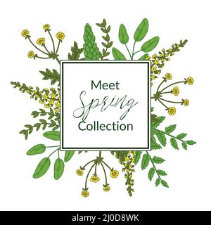 Frühlingsblumen grüner Rahmen mit Wiesenblumen. Handgezeichnete Vektorgrafik Stock Vektor