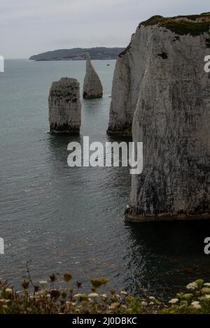 Vertikale Aufnahme von Old Harry Rocks an der Jurassic Coast in Dorset England, UNESCO-Weltkulturerbe Stockfoto