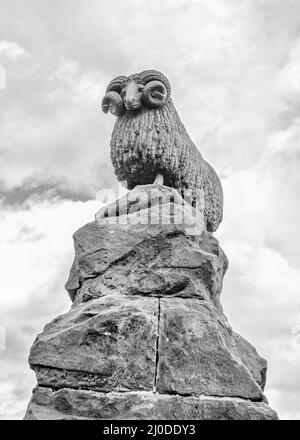 Der Moffat RAM, ein sofort erkennbares Symbol der Stadt Moffat im südlichen Hochland Schottlands. Stockfoto