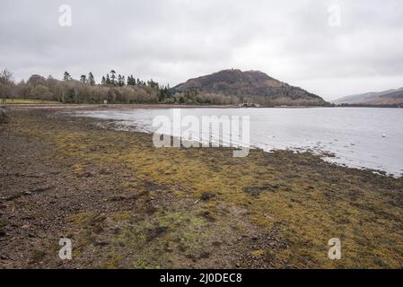 Von der Stadt Inverary in Argyll & mit Blick auf die stillen Gewässer des Loch Fyne in Richtung Aray Bridge und Dun Corr Bhile Hill Stockfoto