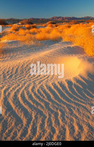 Sanddünen, Camp Cady State Wildlife Area, Kalifornien Stockfoto