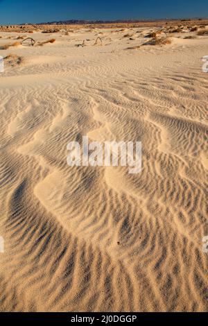 Sanddünen, Camp Cady State Wildlife Area, Kalifornien Stockfoto