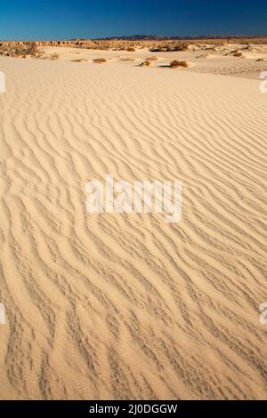 Sanddünen, Camp Cady State Wildlife Area, Kalifornien Stockfoto