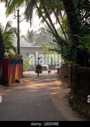 Malvan, Indien - 20. Dezember 2021 : Indischer männlicher Dorfbewohner, der auf einem Fahrrad in einer kleinen Gasse des Dorfes Konkan, umgeben von Kokosnussbaum, fährt Stockfoto