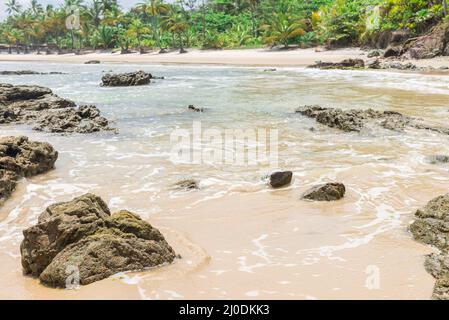 Wunderschöne Strandlandschaft in der tropischen südamerikanischen Gegend Stockfoto