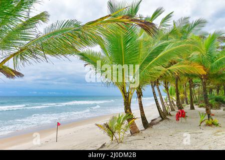 Orange Rettungsschwimmer am schönen Sandstrand Stockfoto