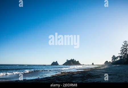 Toleak Point, Flut, Spätnachmittag, Olympic National Park und Marine Preserve/Sanctuary, Washington, USA. Stockfoto