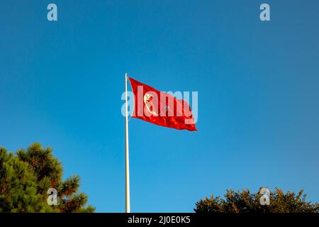 Türkische Flagge. Türkische Flagge mit Bäumen isoliert auf blauem Himmel Hintergrund. 23. April oder 19. Mai oder 30. august oder 29. september Hintergrundbild. Nationale Tage Stockfoto