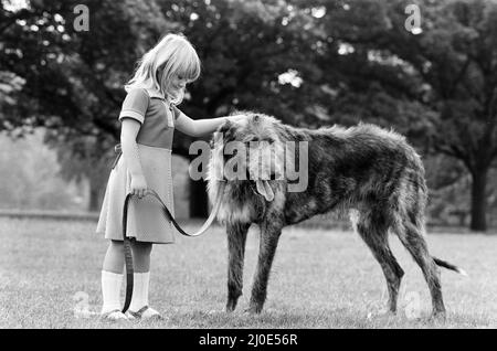 Die 5-jährige Billie Joe Hibberd aus Wood Green, London, scheint immer Probleme zu haben, wenn sie ihren Irish-Wolfhound 'Milligan' zu einem Spaziergang bringt. Sie sind im Hyde Park abgebildet. 12.. September 1979. Stockfoto