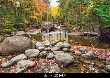 Phelps Brook im Herbst entlang des Van Hoevenberg Trail, Adirondack Park, Essex County, New York Stockfoto