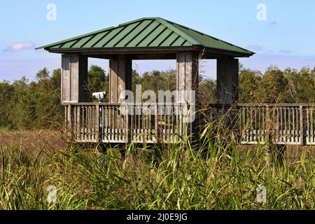 Landschaftlich reizvolle Vogelbeobachtung und Wildtierbeobachtung durch Louisiana von der Aussichtsplattform aus, die mit einer Reichweite im Cameron Präirio National Wildlife Refuge ausgestattet ist Stockfoto