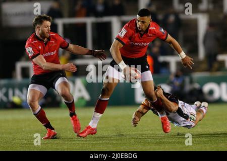 Newcastle, Großbritannien. 12. März 2022. NEWCASTLE UPON TYNE, GROSSBRITANNIEN. MÄR 18. Luther Burrell von Newcastle Falcons übernimmt die Verteidigung der Tigers mit Max Wright zur Unterstützung beim Premiership Cup-Spiel zwischen Newcastle Falcons und Leicester Tigers am Freitag, 18.. März 2022 im Kingston Park, Newcastle. (Kredit: Chris Lishman | MI News) Kredit: MI Nachrichten & Sport /Alamy Live News Stockfoto