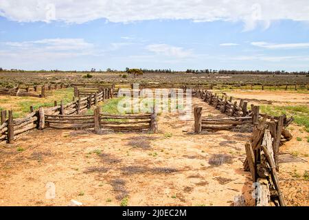 Historischer Schafhof aus Wolle in der Nähe des alten, historischen Wollschuhs im trockenen, trockenen australischen Outback am Lake Mungo mit springenden Känguru. Stockfoto