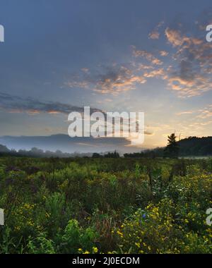 Ein Porträtbild eines dramatischen Sonnenaufgangs über einem Tal voller wilder Gräser und Blumen. Stockfoto