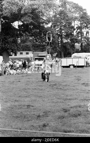 Gala, Beenham, Berkshire, Juli 1980. Stockfoto