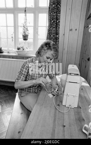 Judith Chalmers macht einige DIY. Mai 1979. Stockfoto