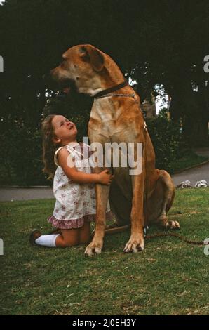 Hermie, die Dogge, wird mit seiner Freundin, der 3-jährigen Emma Rich in Bridgwater, Somerset, abgebildet. 6.. Juli 1980. Stockfoto