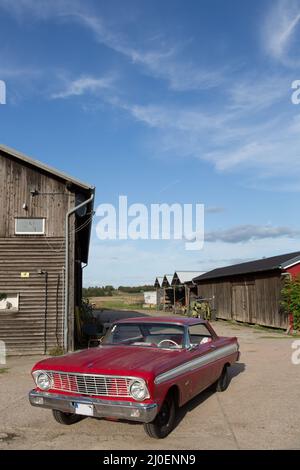 Ford Falcon futura Stockfoto