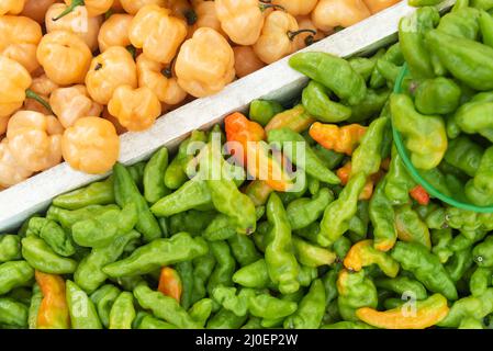 Frische reife Murupi und gelbe Paprika Stockfoto