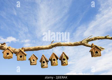 Eine Reihe von hölzernen Vogel auf einem Zweig Stockfoto