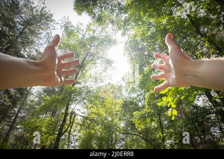 Persönliche Perspektive eines Mannes mit ausgestreckten Armen in einem Wald Stockfoto