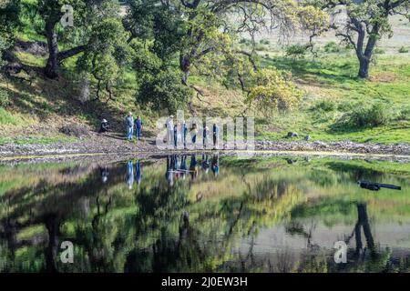 Eine Gruppe von Wanderern steht am Rand des Wassers in Nordkalifornien, unter Eichen in Sonoma County. Stockfoto