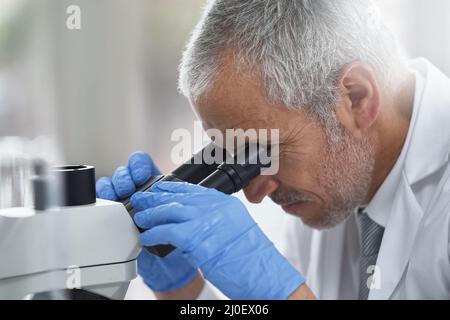 Fortschritte in den kleinen Dingen zu finden. Aufnahme eines wissenschaftlichen Forschers bei der Arbeit an einem Mikroskop in einem Labor. Stockfoto