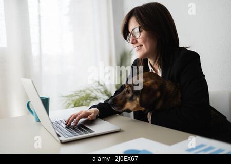 Glückliche Geschäftsfrau, die im Computer-Laptop mit ihrem Hund im modernen Büro arbeitet - Fokus auf Gesicht Stockfoto