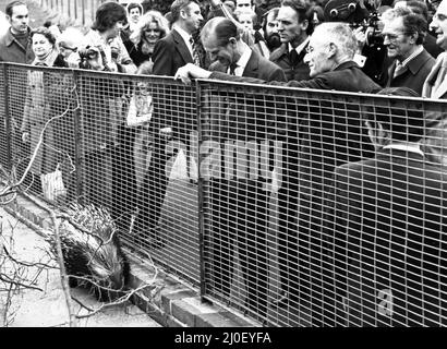 Prinz Philip, Herzog von Edinburgh, besucht den Paignton Zoo in Devon. 9.. März 1978. Stockfoto