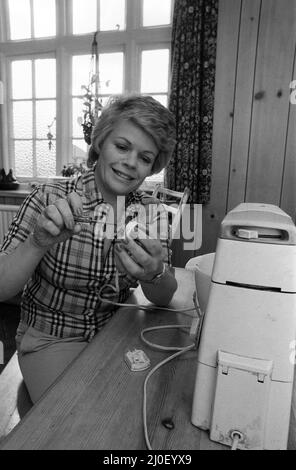 Judith Chalmers macht einige DIY. Mai 1979. Stockfoto